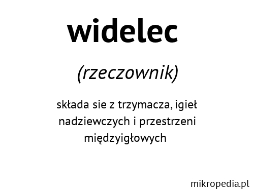 widelec